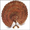 Click here to View All Products in this Sub-Category